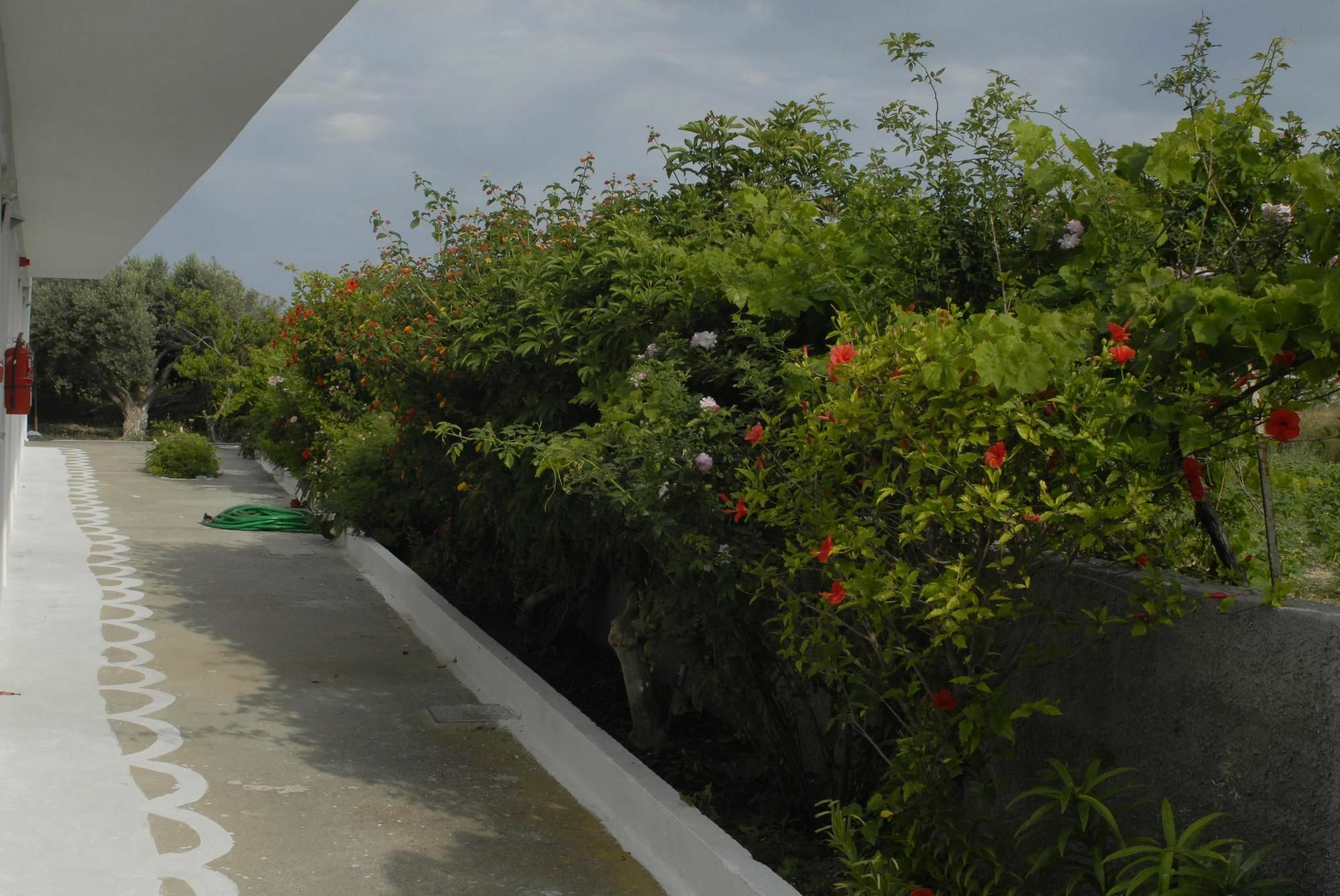 Ipokampos Apartamento Kéfalos Exterior foto
